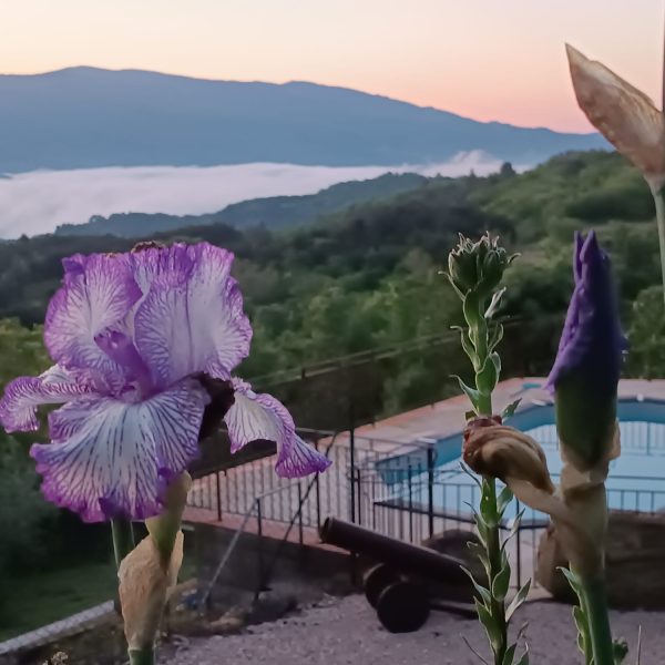Rustico Toscano Casa Vacanze in Casentino Toscana Arezzo