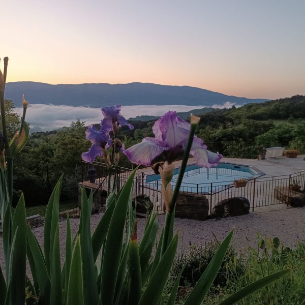 Rustico Toscano Casa Vacanze in Casentino Toscana Arezzo