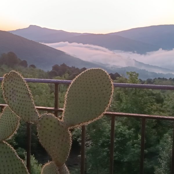 Rustico Toscano Casa Vacanze in Casentino Toscana Arezzo