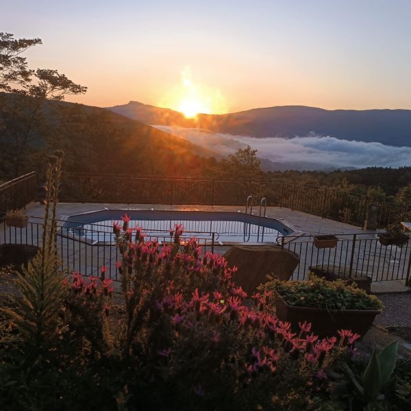 Rustico Toscano Casa Vacanze in Casentino Toscana Arezzo